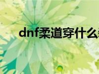 dnf柔道穿什么装备 dnf柔道穿什么甲 