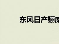 东风日产骊威劲锐 尼桑骊威劲锐 