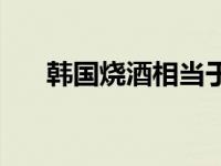 韩国烧酒相当于中国什么酒 韩国烧酒 