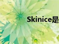 Skinice是什么品牌 skinice 