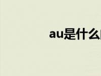 au是什么的缩写 au是什么 