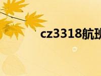 cz3318航班动态 cz3381航班 