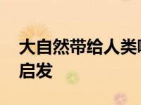 大自然带给人类哪些启示 大自然给人类哪些启发 