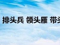 排头兵 领头雁 带头人 先行者同义词 排头兵 