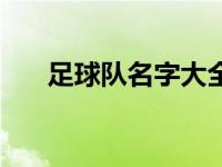 足球队名字大全简单 新颖的足球队名 