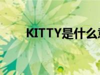 KITTY是什么意思 kitty是什么意思 