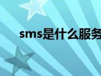 sms是什么服务 sm服务包括什么东西 