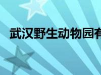 武汉野生动物园有熊猫吗 武汉野生动物园 