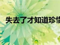 失去了才知道珍惜原唱 失去了才知道珍惜 