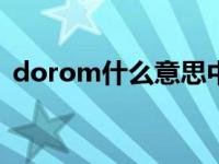 dorom什么意思中文 doraemon什么意思 