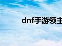 dnf手游领主神器袖珍罐 袖珍罐 