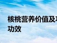 核桃营养价值及功效与作用 核桃营养价值及功效 