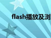 flash播放及浏览器 网页flash播放器 