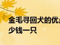 金毛寻回犬的优点和缺点介绍 金毛寻回犬多少钱一只 