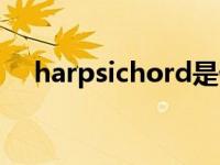 harpsichord是什么意思 harpsichord 