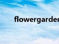 flowergarden涂色 Flowergarden 