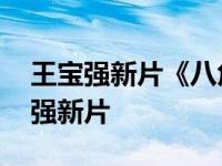 王宝强新片《八角笼中》什么时候上映 王宝强新片 