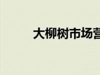 大柳树市场营业时间 大柳树市场 