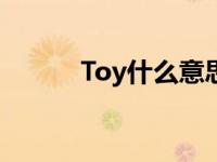 Toy什么意思翻译 toy什么意思 