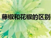 藤椒和花椒的区别是什么 藤椒和花椒的区别 