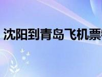 沈阳到青岛飞机票特价日 沈阳到青岛飞机票 