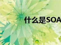 什么是SOAP方法 什么是SOA 