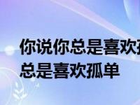 你说你总是喜欢孤单歌词是什么意思 你说你总是喜欢孤单 