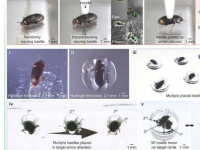 自适应3D打印系统可以拾取和放置生物体进行生物成像和冷冻保存