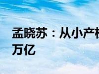 孟晓苏：从小产权房起征房产税，每年能收2万亿