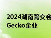 2024湖南跨交会｜国际传播四小花对话南非Gecko企业