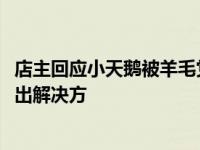 店主回应小天鹅被羊毛党一夜薅走7000万：已与品牌方协商出解决方