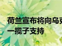 荷兰宣布将向乌克兰提供价值超2亿欧元的新一揽子支持