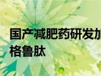 国产减肥药研发加速，有药企头对头挑战司美格鲁肽