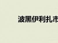 波黑伊利扎市移民冲突致一人死亡