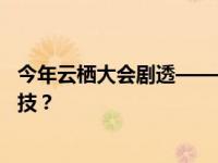 今年云栖大会剧透——当AI遇上云计算，碰撞出哪些硬核科技？