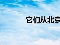 它们从北京灭绝也在北京重生