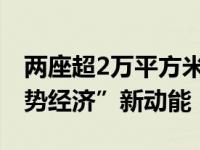 两座超2万平方米旗舰店亮相，点石蕴蓄“逆势经济”新动能