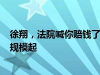 徐翔，法院喊你赔钱了！操纵股价判赔110万，后续或有大规模起