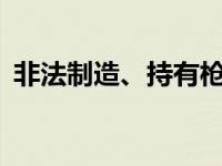 非法制造、持有枪支，王某某获刑2年1个月