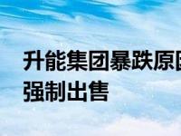 升能集团暴跌原因揭秘，控股股东3.7亿股遭强制出售