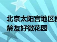 北京太阳宫地区群众做“园丁”  共同建设全龄友好微花园