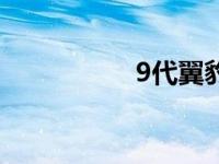 9代翼豹改装 9代翼豹 