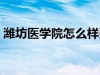 潍坊医学院怎么样张雪峰 潍坊医学院怎么样 