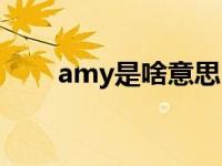 amy是啥意思 amy是什么意思中文 