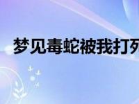 梦见毒蛇被我打死了是什么预兆 梦见毒蛇 