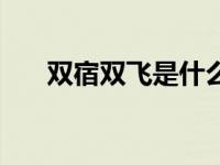 双宿双飞是什么意思 双飞是什么意思 