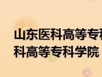 山东医科高等专科学院中外合作办学 山东医科高等专科学院 