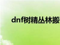 dnf树精丛林搬砖是哪个地图 dnf树精 