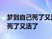 梦到自己死了又活了又马上要死了 梦到自己死了又活了 