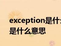 exception是什么意思中文翻译 exception是什么意思 